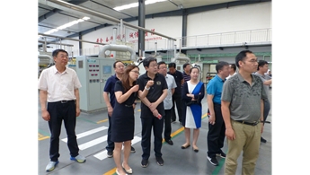 国家自然资源部王副司长一行来我司调研指导